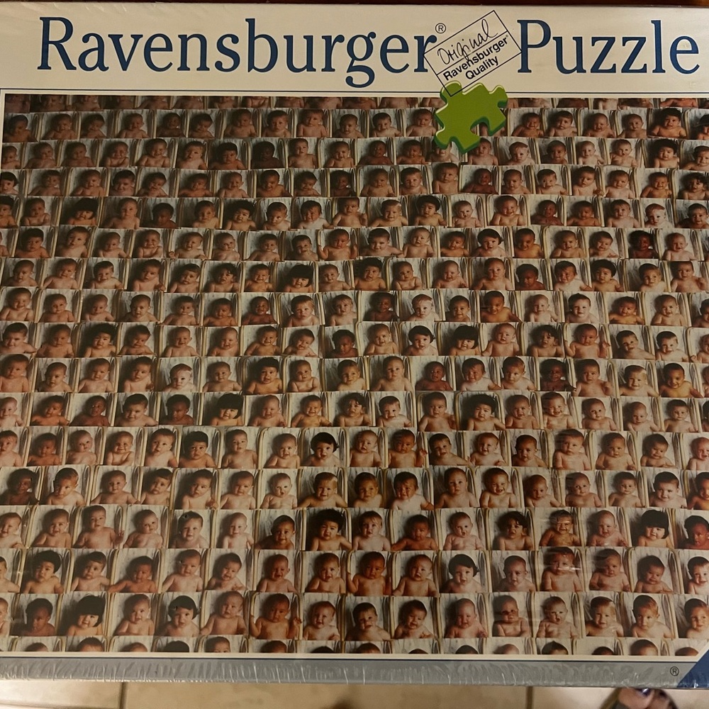 Ravensburger 1,500 piece puzzle